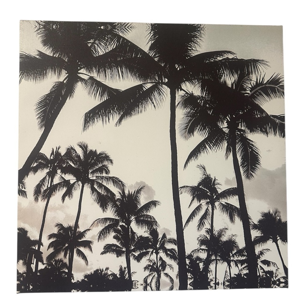 Black and white Palm Tree Canvas Art